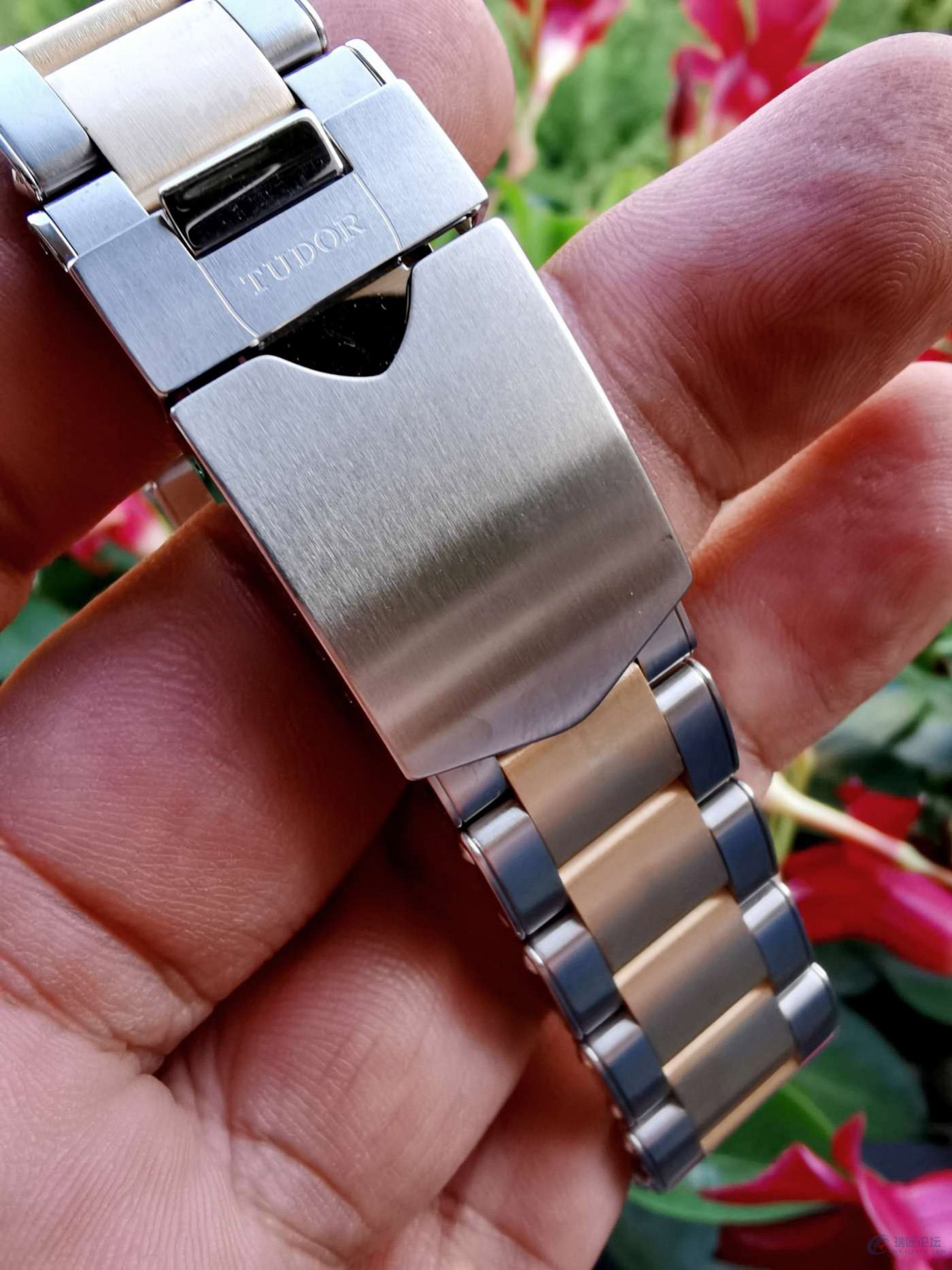 入手帝舵79733间金盾