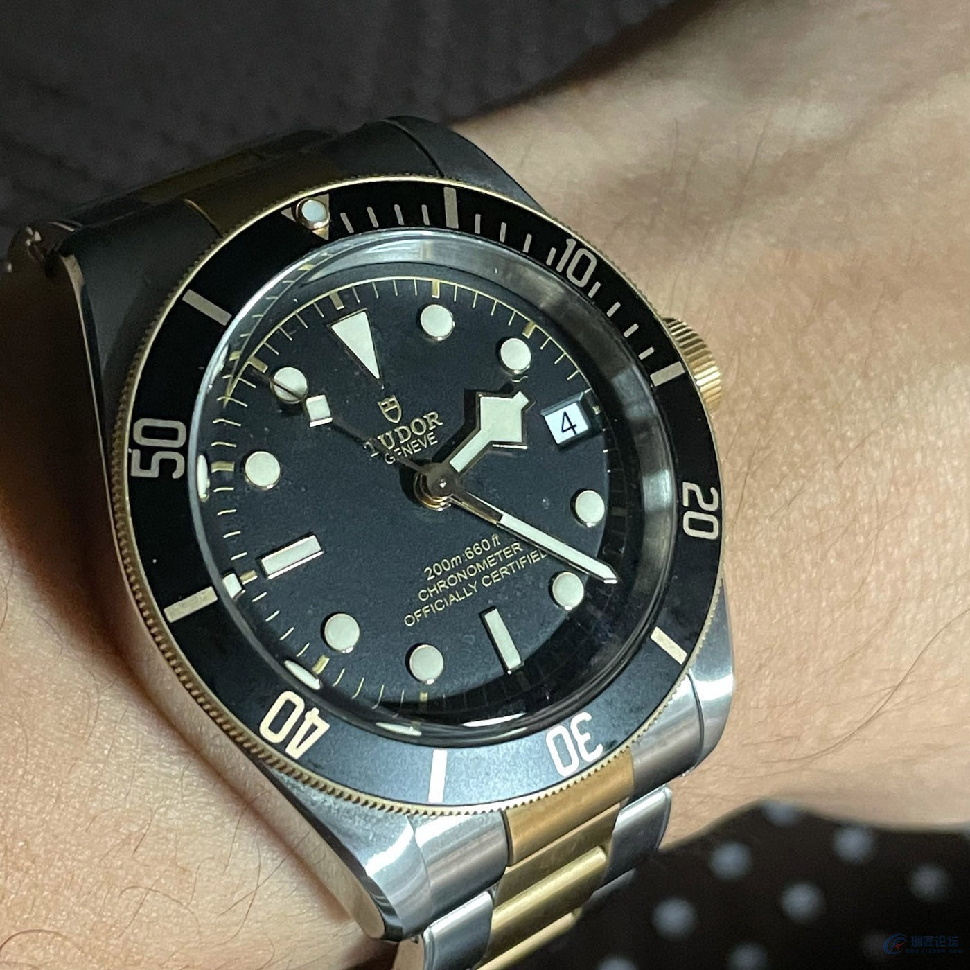 1841025164.jpg