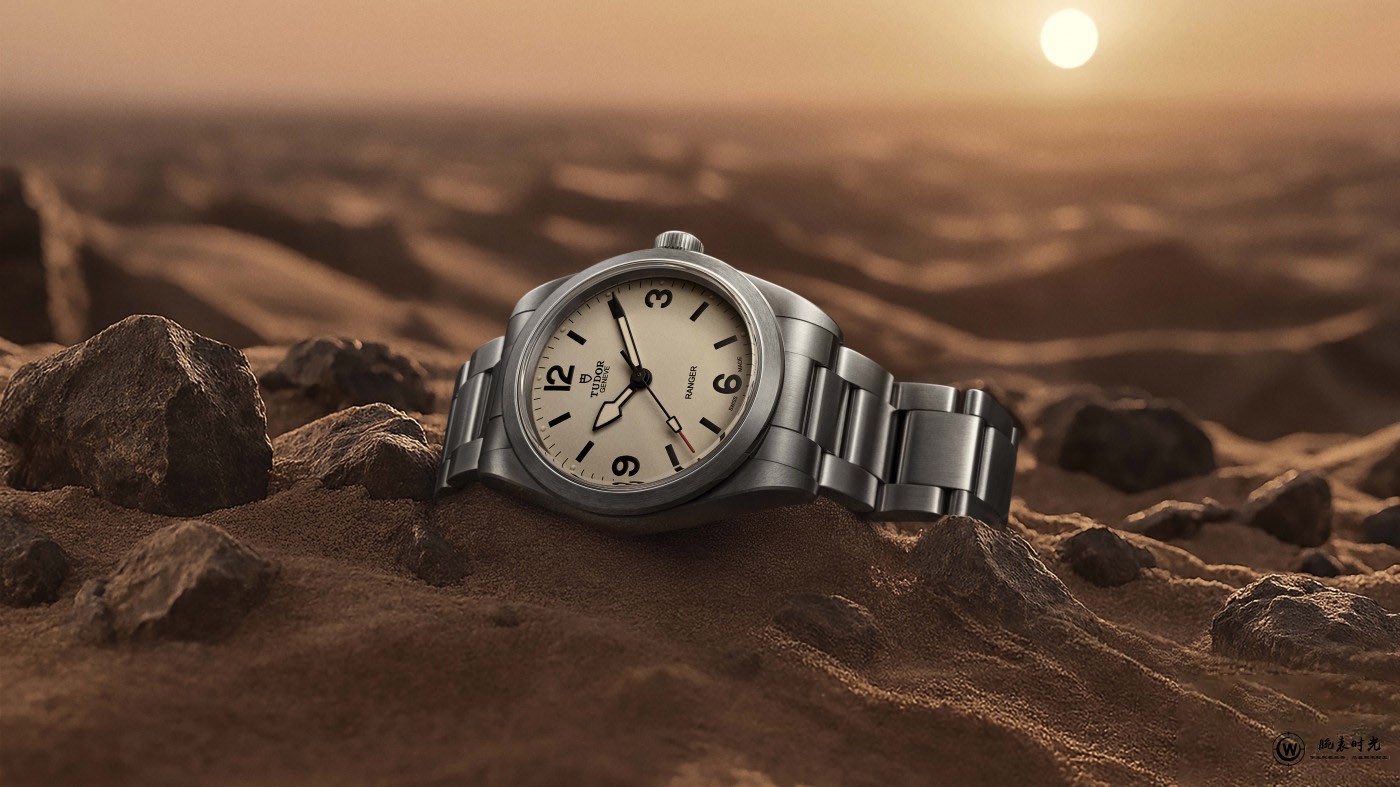 帝舵游侠型系列新款问世