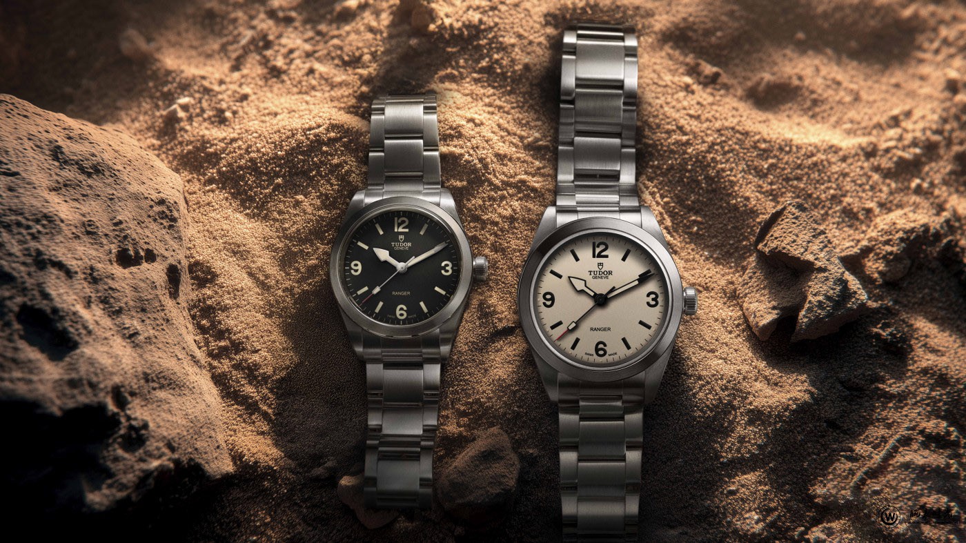 帝舵游侠型系列新款问世