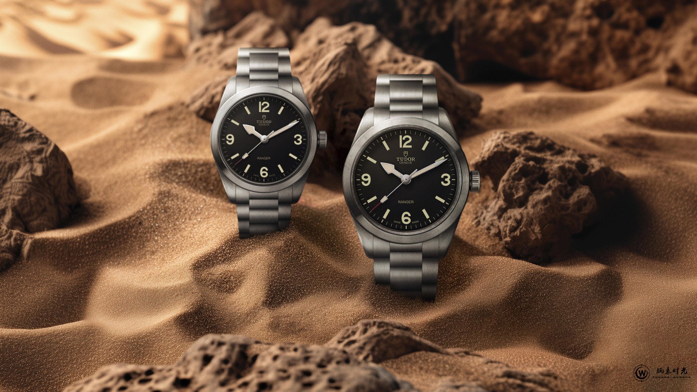 帝舵游侠型系列新款问世